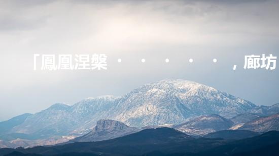 「鳳凰涅槃，廊坊河道清淤再嘯新生」